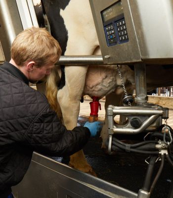 9_7C9A2793---indlæg-9